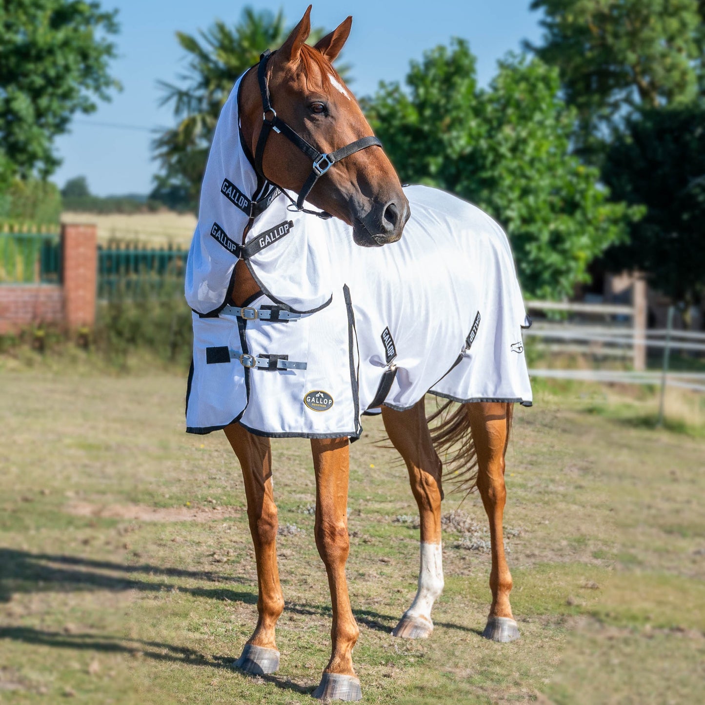 GALLOP Classic Fly Combo Rug
