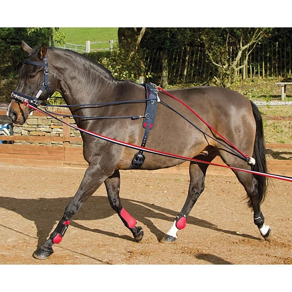 John Whitaker Horse Lunge Training Aid System inc Roller