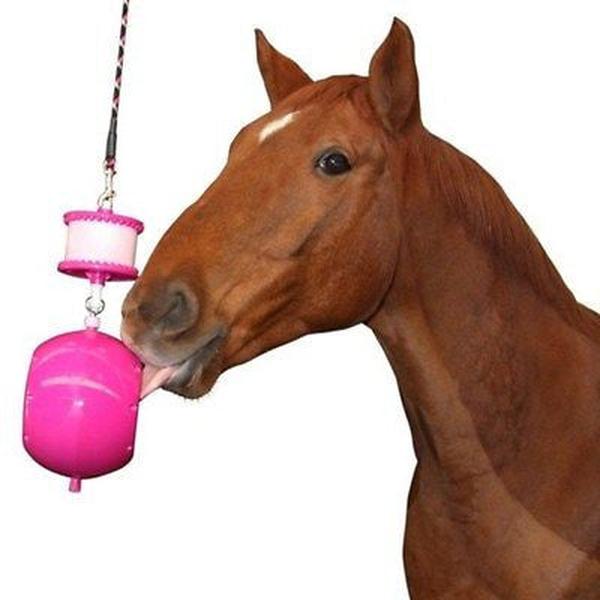 LIKIT BOREDOM BREAKER HORSE TREAT LIKIT EQUESTRIAN TOYS HELPS STOP STABLE VICES