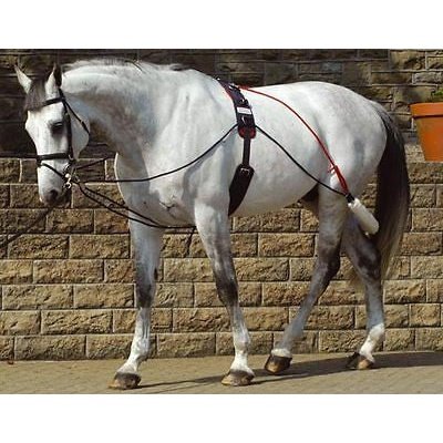 John Whitaker Horse Lunge Training Aid System inc Roller
