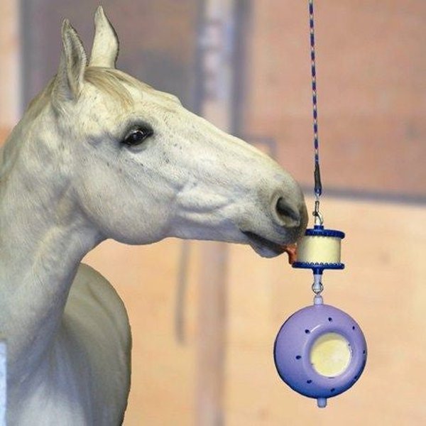 LIKIT BOREDOM BREAKER HORSE TREAT LIKIT EQUESTRIAN TOYS HELPS STOP STABLE VICES